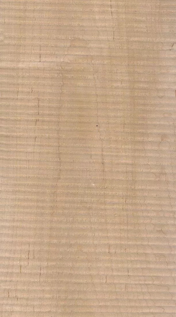 樺木的芯材顏色是淡紅棕色，邊材顏色近白色，板面寬且?guī)в暗哪酒な袌?chǎng)價(jià)格良好，紋理通常是直紋和波浪紋，質(zhì)地均勻，板面有很好的自然光澤度。.webp.jpg